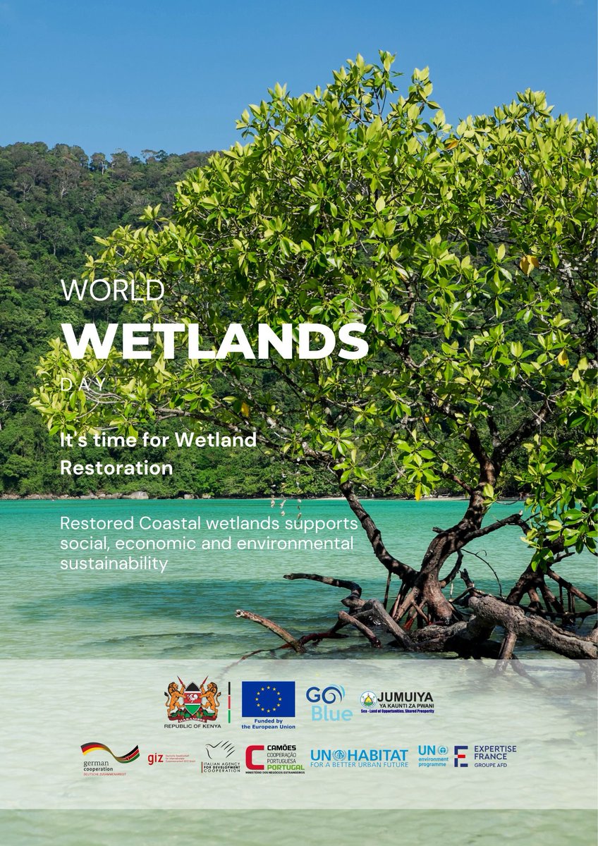 GoBlueKenya's tweet photo. On this #WetlandsDay2023, we note that restored coastal wetlands supports social, economic and environmental sustainability of the region.
@EUinKenya @UNHABITAT @expertisefrance @camoes_ip @AICS_Nairobi @giz_gmbh @Environment_Ke https://t.co/BRu3kIsPh5