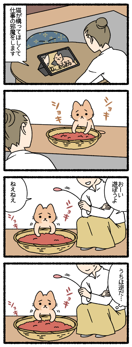 ねこようかい あずきあらい #ねこようかい 