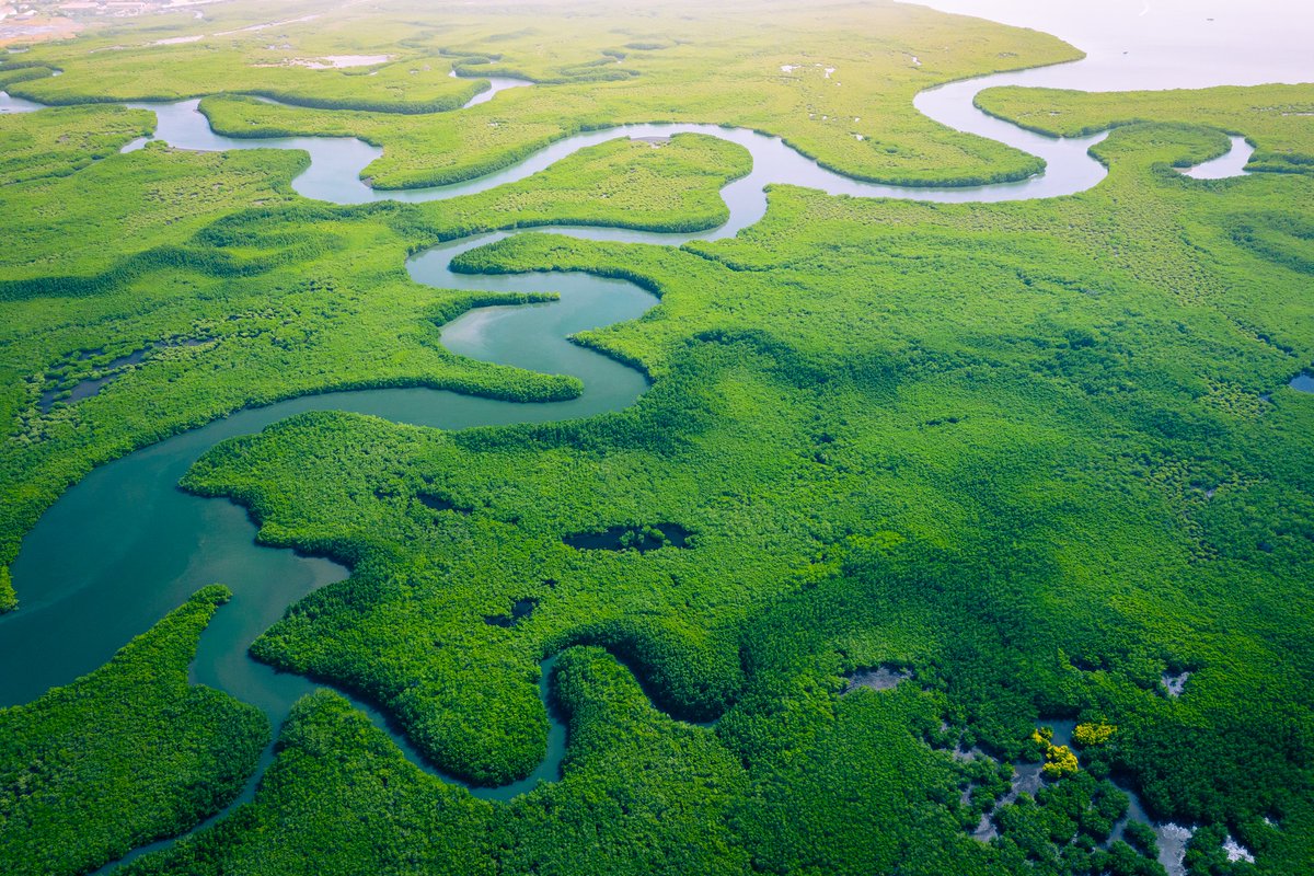 WWTworldwide's tweet photo. Wetlands = essential for all life on earth 🌏
Wetlands = vital habitats for 40% of species 🐸
Wetlands = disappearing 3 x faster than forests 🌲

Retweet 🔁 and like ✅ to raise awareness of these precious habitats on #WorldWetlandsDay 

#WWD2023  #ForWetlands #WetlandsCan https://t.co/Ivuz898ztb