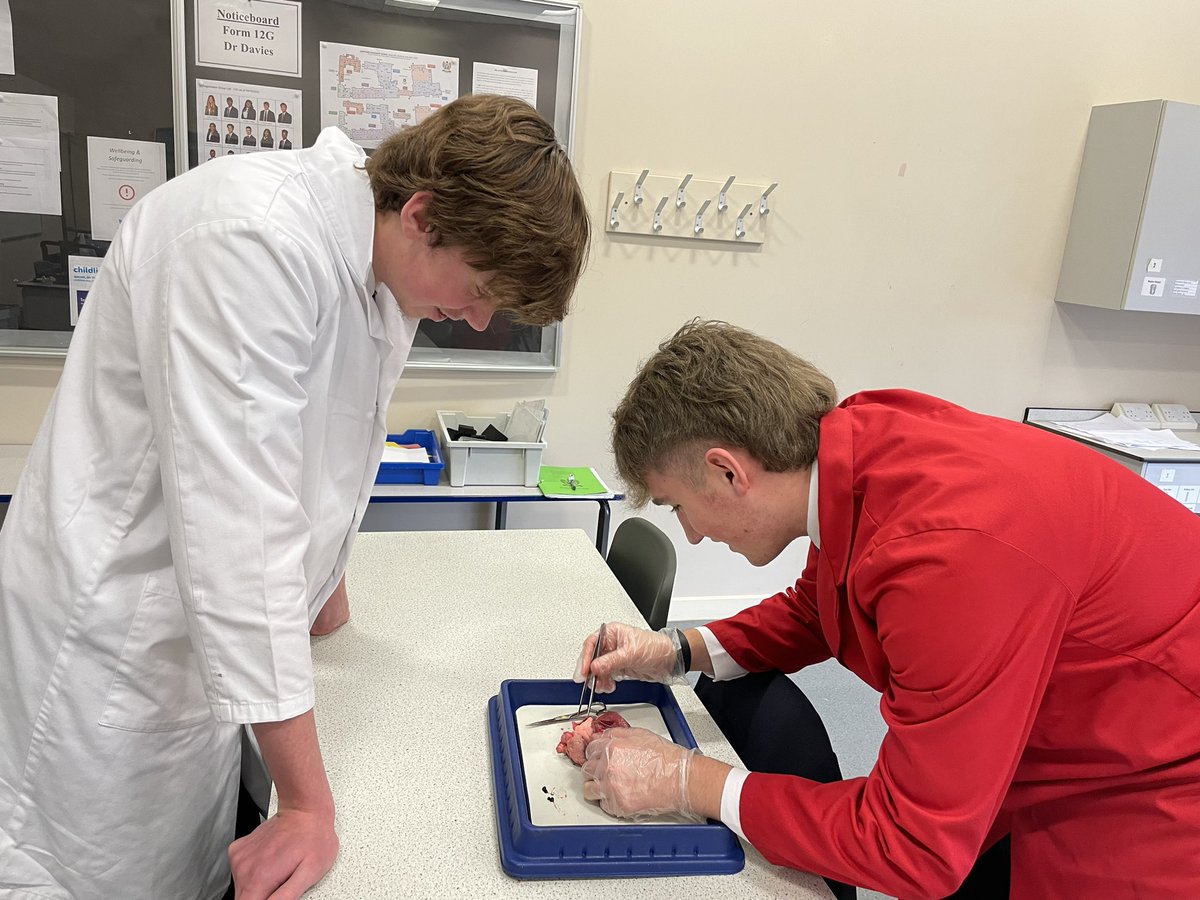 Ms Harris tweet media