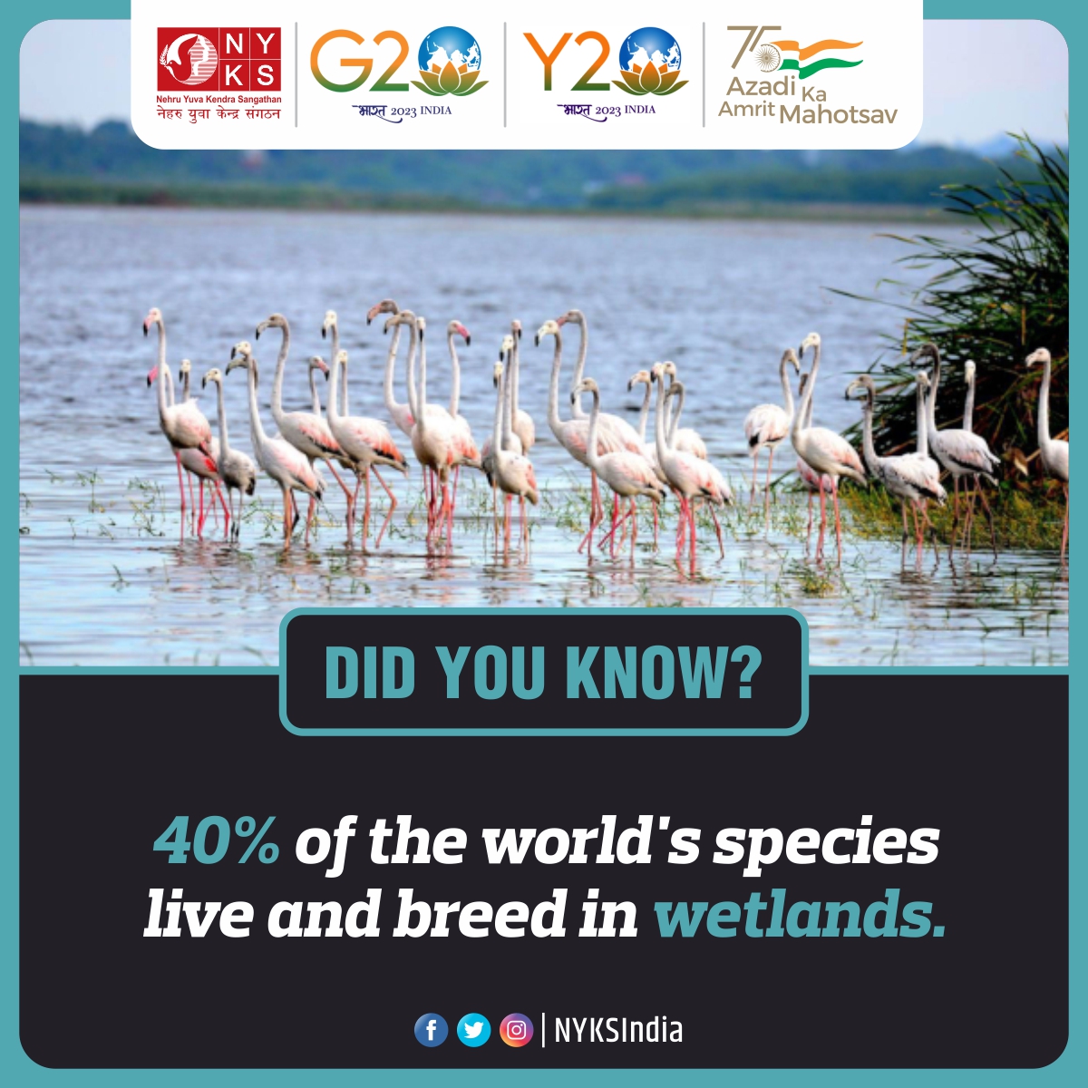 Did you Know?

40% of all plant and animal species live or breed in wetlands. Wetlands are disappearing three times faster than forests. Coastal wetlands sequester and store carbon 55 times faster than tropical rainforests.

#wetlands #WetlandsDay  #WorldWetlandsDay2023 #facts