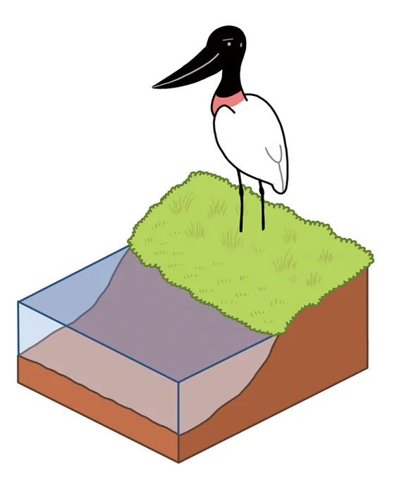 #WorldWetlandsDay #世界湿地の日 