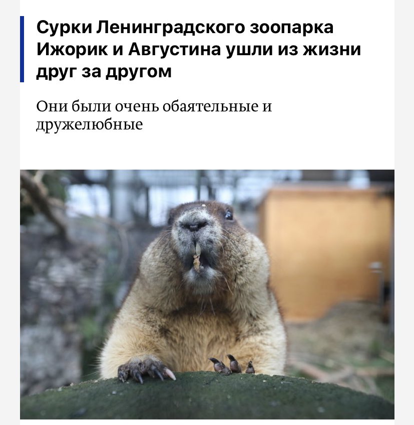 Я: Сегодня же день сурка, пойду почитаю какие-нибудь милые новости, подниму себе настроение
Новости: