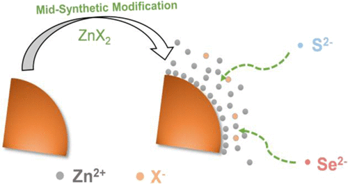 bhkenlo's tweet photo. Bright InP Quantum Dots by Mid-Synthetic Modification with Zinc Halides https://t.co/QKOq0CR9ZW Jiang and co-workers @InorgChem #zinc #halides #indium #phosphide #QDs #mid_synth_modification https://t.co/znGAvgxev2