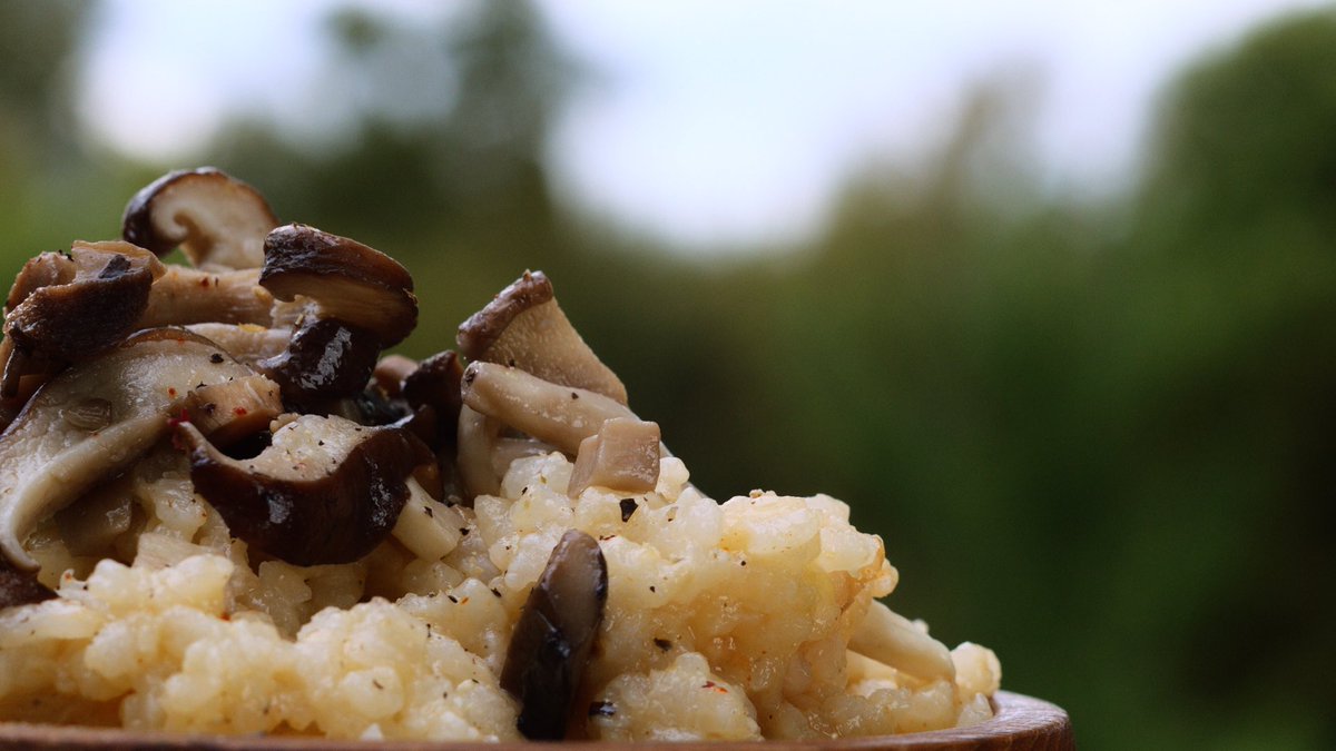 TheCookALongSA's tweet photo. Did you know? 
Mushrooms are good source of protein, fibre and antioxidants.

Watch The Cook Along on Netflix to see how our host, guest chef and celebrity guest create a beautiful plate of food using this star ingredient.
#thecookalong #netflixsa #knowyourfood https://t.co/G0J8e14Nde