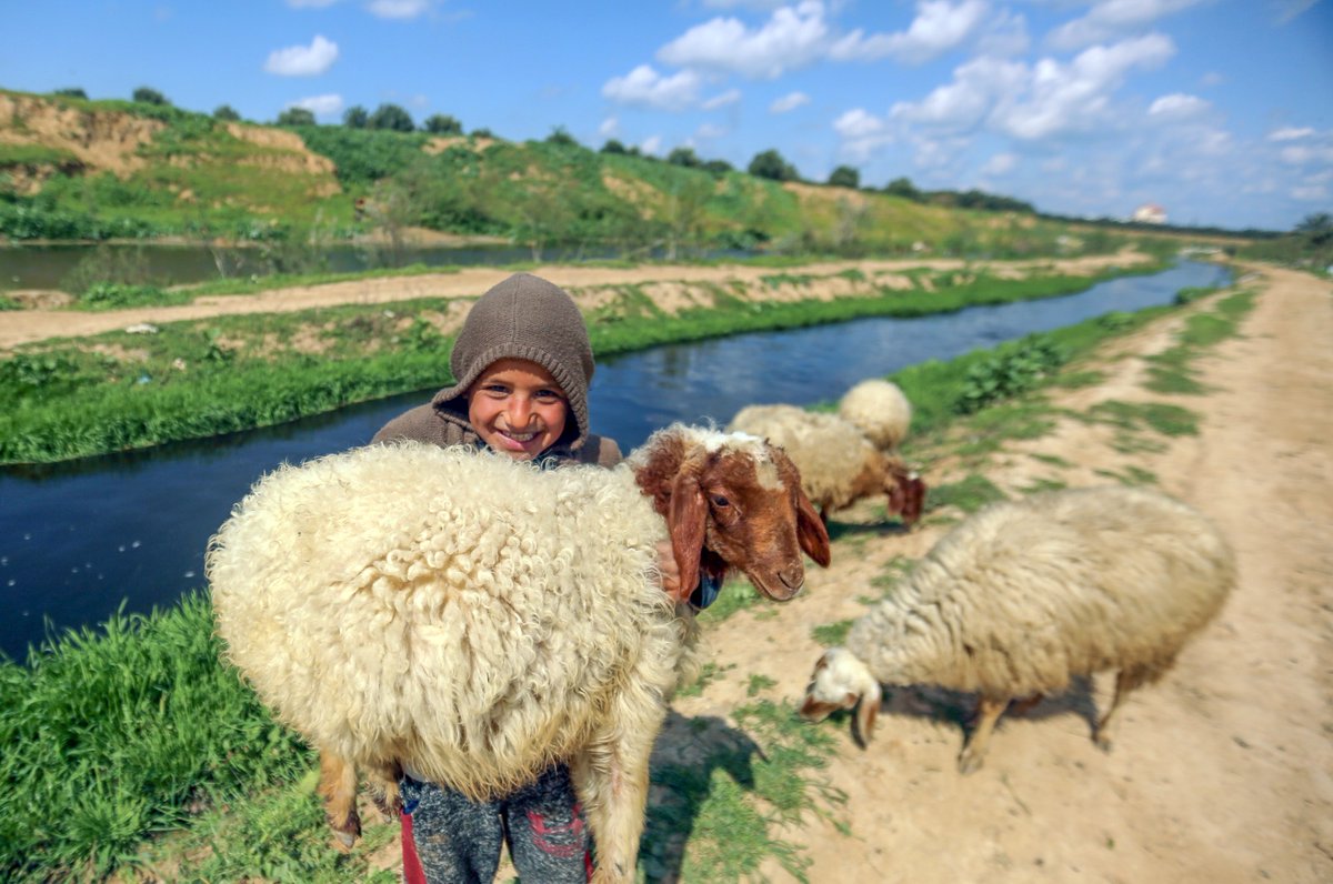 UNDPPalestinian's tweet photo. 💡#DYK that Wadi #Gaza is one of the largest coastal wetland in the state of Palestine &amp; one of the most important in the Eastern Mediterranean basin

UNDP, in partnership with Norway 🇧🇻 and Belgium🇧🇪 are reviving and restoring the degraded wetland in the Wadi.

#WorldWetlandsDay https://t.co/4CaIXiu8jK