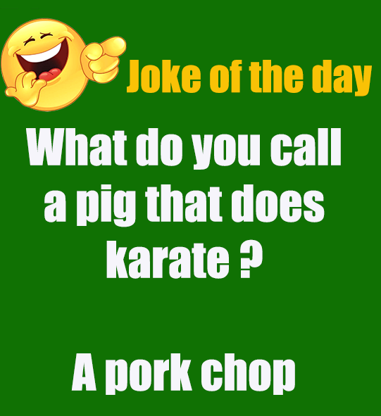 And they were kung fu fighting Gorillie was fast as lightning😉 #gorillie #joke #jokesoftheday #riddle #fyp #trending #viral #laugh #laughter #laughoutloud #funny #humor #humorous