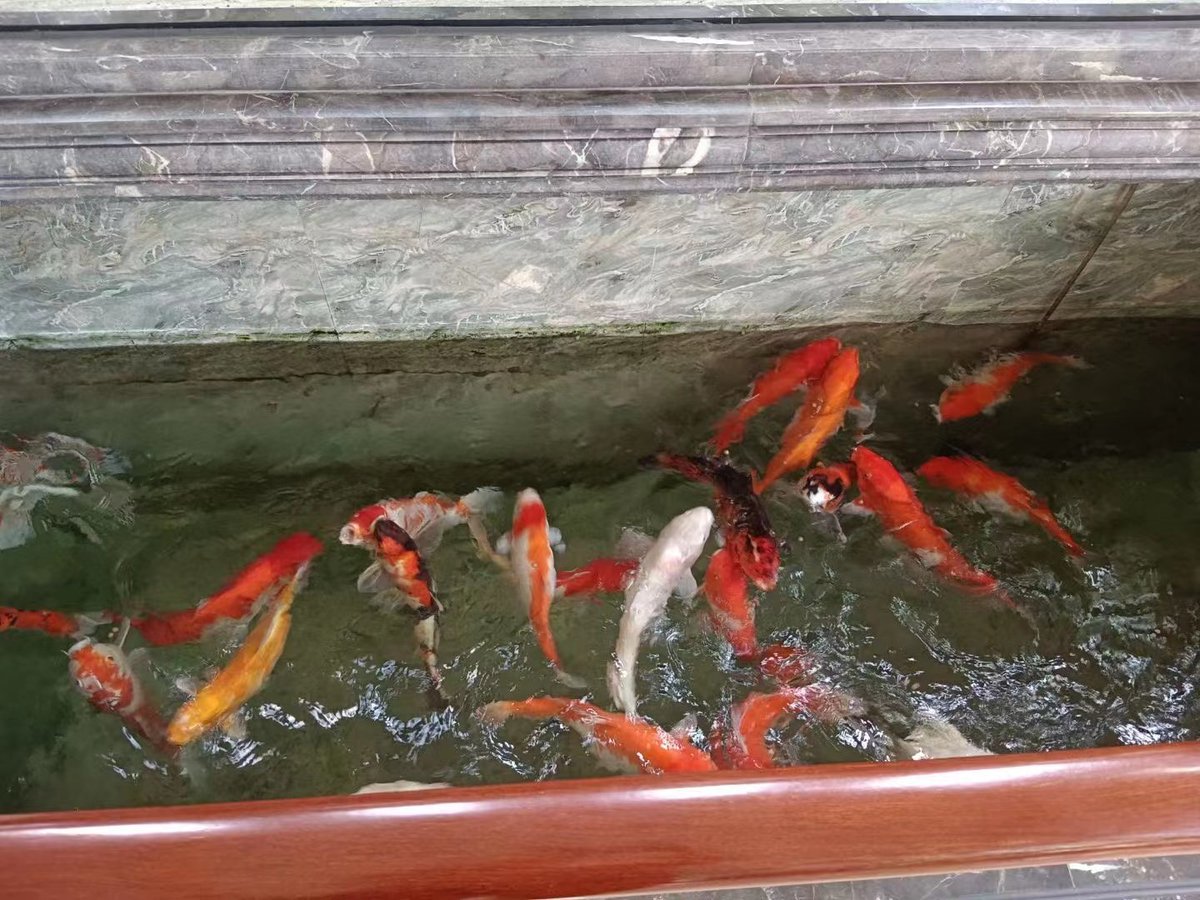 Come back to work!
 Welcome to make order!