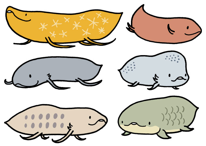 「#WorldWetlandsDay #世界湿地の日 」|いずもり・ようのイラスト