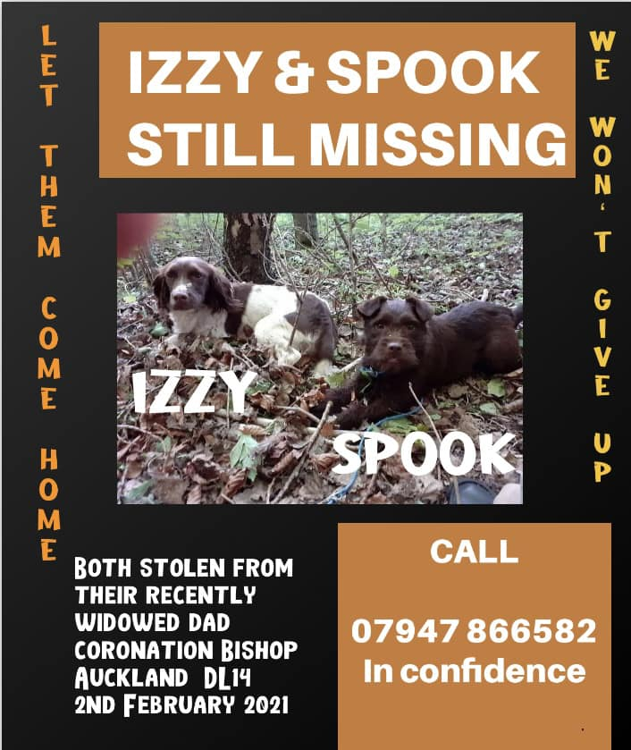 Izzy & Spook were stolen from their home in #BishopAuckland 2 years ago today. Have you adopted a similar dog or 2 since then???

Please join: facebook.com/groups/1187855…

@DRPS  @SAMPAuk_ @pettheftaware @DogLostUK @MissingPetsGB @HunnyJax @rosiedoc666 @The_Animal_Team @AlanDaffern