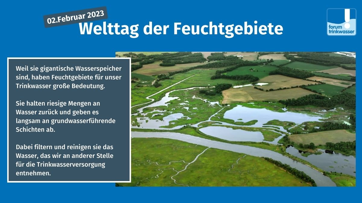 Heute ist #WelttagderFeuchtgebiete #WorldWetlandsDay . 
Für unser #Trinkwasser und die #Trinkwasserqualität sind #Feuchtgebiete von enormer Bedeutung. Sie speichern und reinigen #Wasser und geben es an #grundwasser|führende Schichten ab.