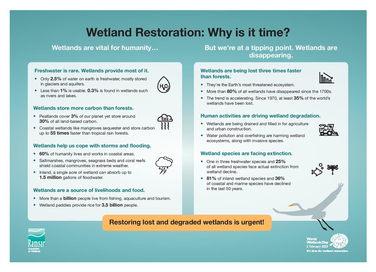 IndiaWaterFoun1's tweet photo. #worldwetlandsday2023 #wetlands #wetlandsrestoration #ForNatureBasedSolutions #Water #Environment #EcosystemRestoration #SDGs #ClimateChange #SDGs #ClimateAction #mangroves #WeNeedWetlands #UNited4Land #ForNature #ActNow #ecosystemservices https://t.co/q1t5e78Cu5