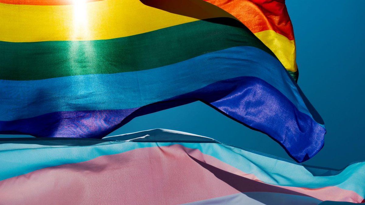 .@SurreyHeartland are running a series of events to celebrate LGBT+ History Month - with guest speakers sharing their experiences. The first one takes place today online at 12.30-13.30. Contact @IDHealthUK if you'd like to find out more.