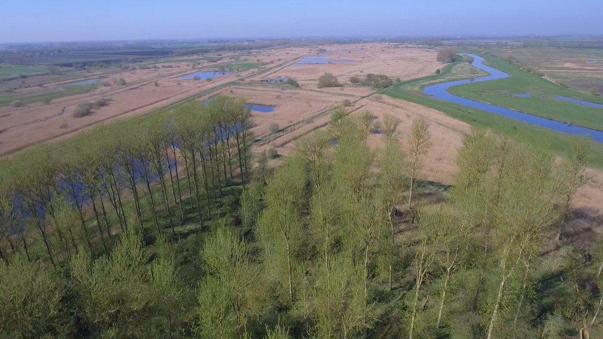 In celebration of World Wetlands Day, we are delighted to formally announce our strategic partnership with the #RSPB Lakenheath Fen reserve to help them restore existing farmland into a haven for wildlife. 1/2 #GenerationRestoration #ForWetlands #WorldWetlandsDay #RSPB