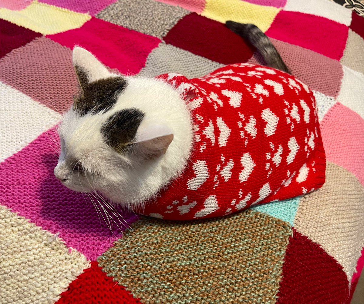 Saffron Ann tweet media