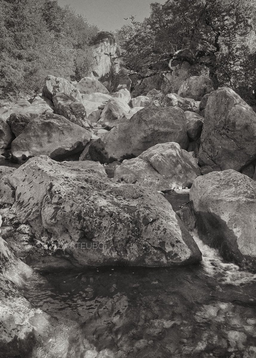fotoarteubq's tweet photo. Paisajes de la Sierra...
#FotoArte #Estudio #fotografia #Ubrique #Cadiz #Andalucia #España #Spain #Andalusia #fotodeldia #picoftheday #naturaleza #nature #sierra #mountain #invierno #winter #creek #zonesystem #blackandwhite https://t.co/3PKApcyHWz