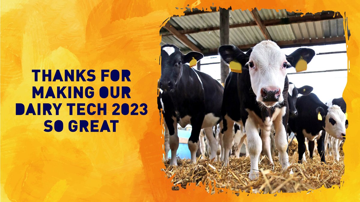 CALFMATTERS tweet media