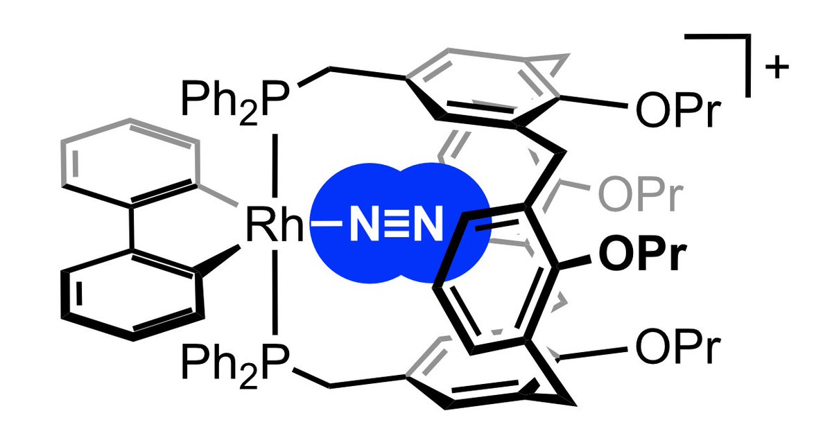 Synthesis of a rhodium(III) dinitrogen complex using a calix[4]arene-based diphosphine ligand. A highlight from Jack Emerson-King's thesis with insightful computational analysis from @SudipPan14 and @RalfTonner. Officially out in @ChemCommun ➞ doi.org/10.1039/D2CC06…