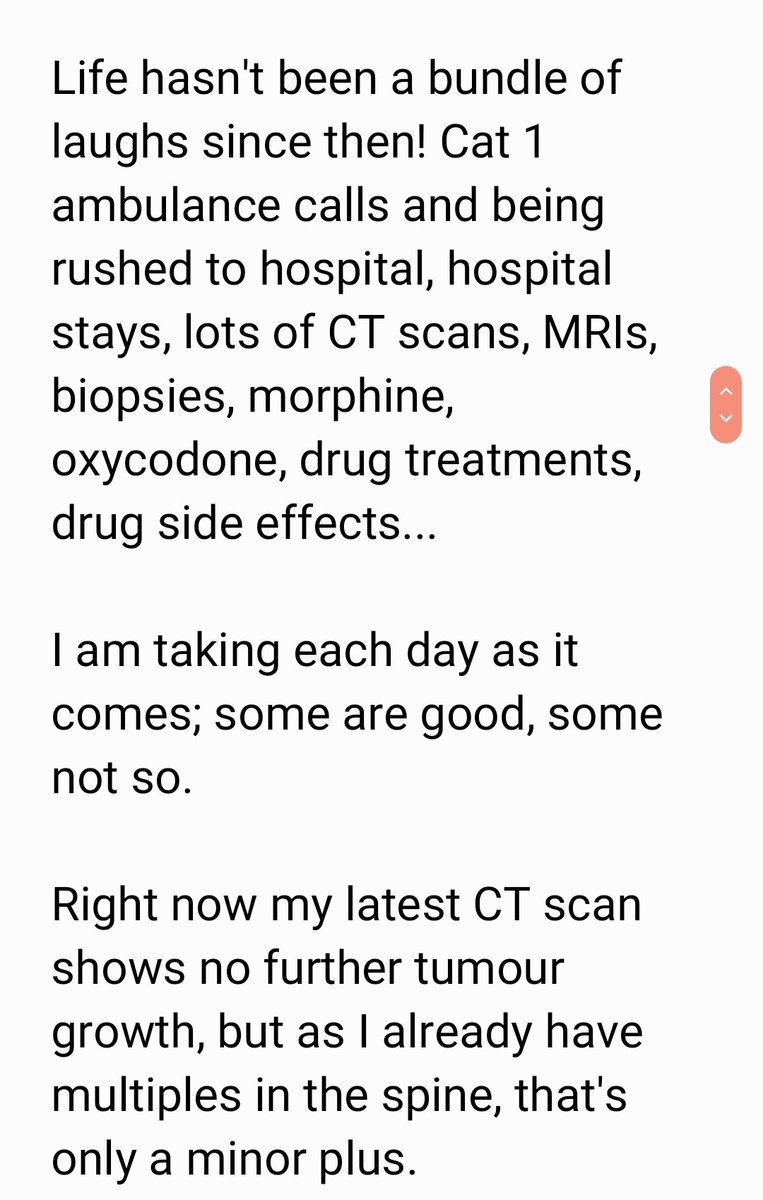 Linn Branson tweet media