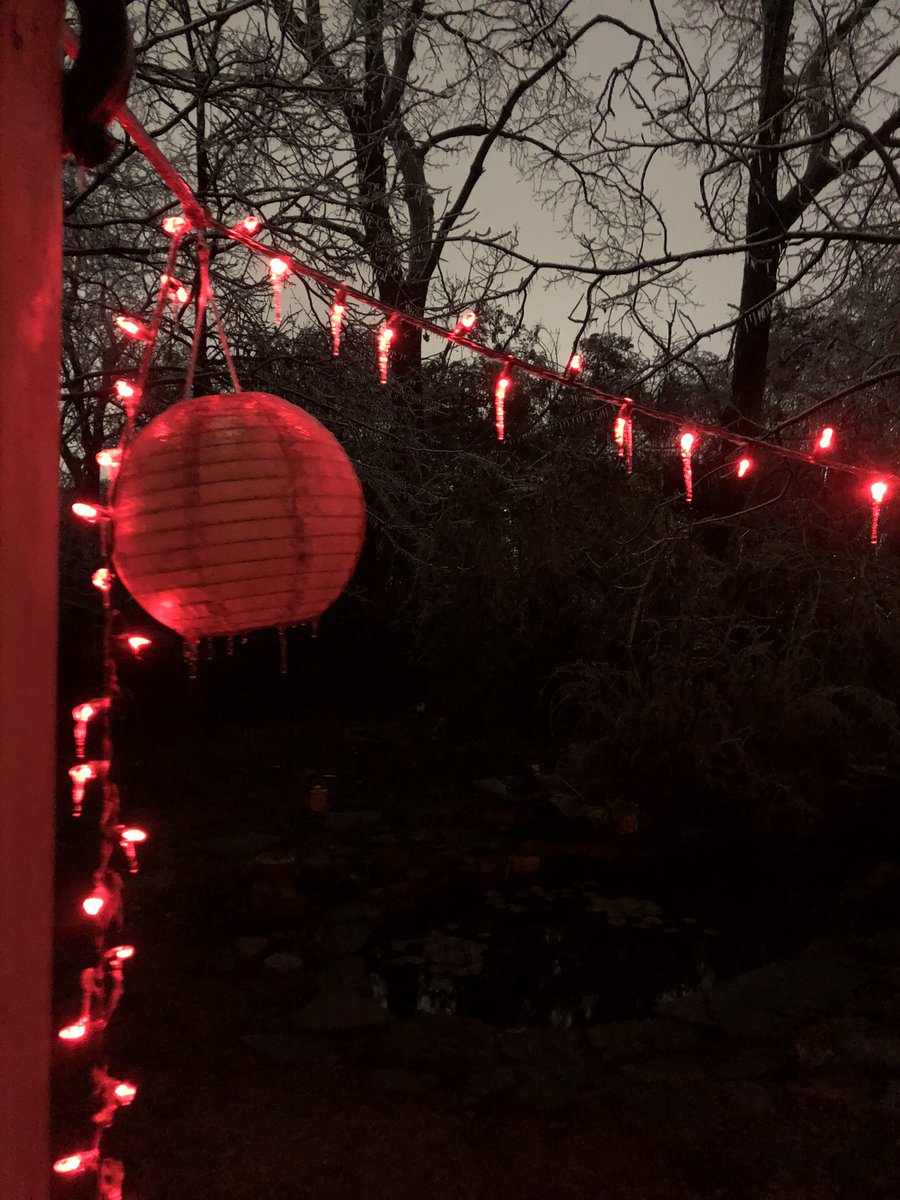 ani_data's tweet image. Doomed to just posting pics here sorry :/ look at the ice in Austinn