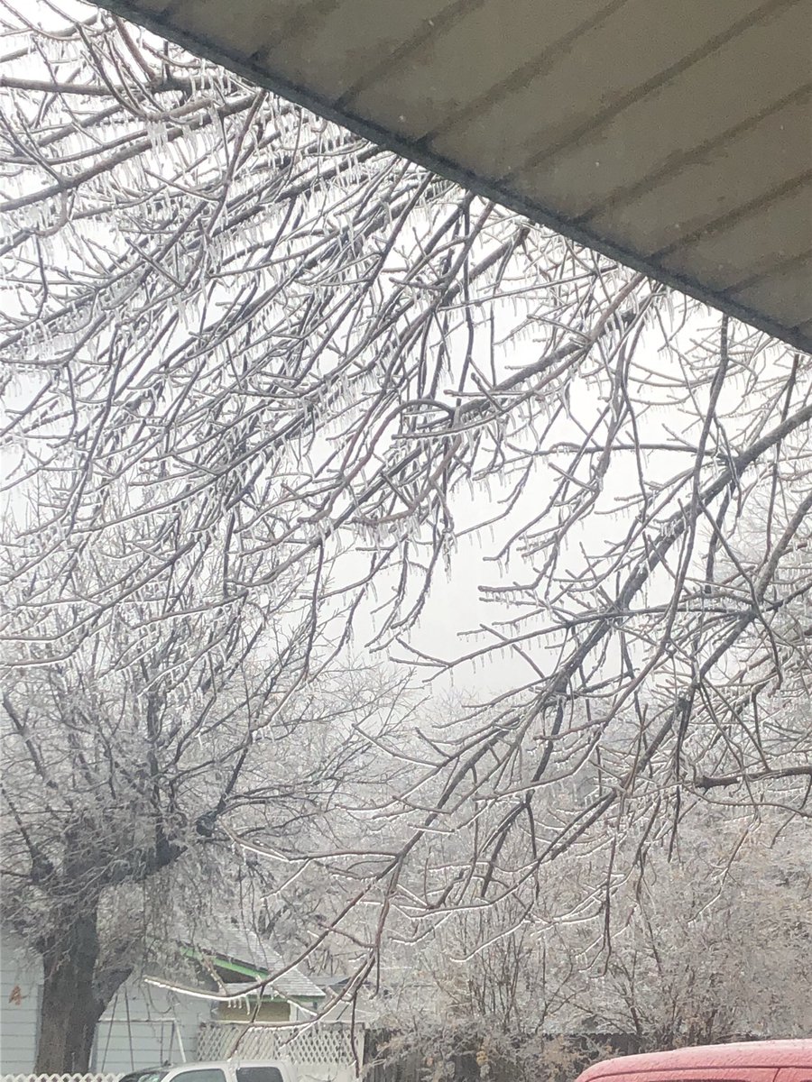 ani_data's tweet image. Doomed to just posting pics here sorry :/ look at the ice in Austinn