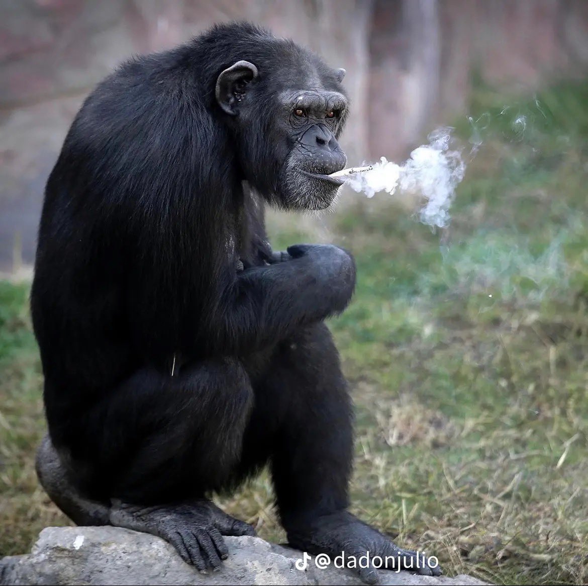 Big Booty Latinas. Amen.