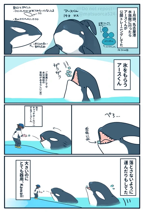 名古屋港水族館のアースくん、でか可愛い 