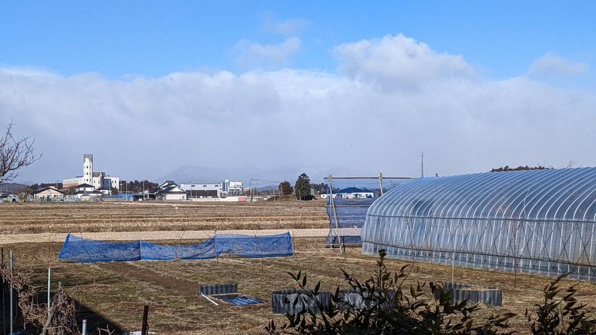 DigitalmoreTV's tweet photo. 2023.2.2　明日は節分に恵方巻　
おっといけねぇ～　イワシの頭と豆柄の���にヒイラギの葉っぱを用意しましょうかね・・・・　(笑)
大雪の影響はほとんどありませんね https://t.co/VeCJtXTlGg