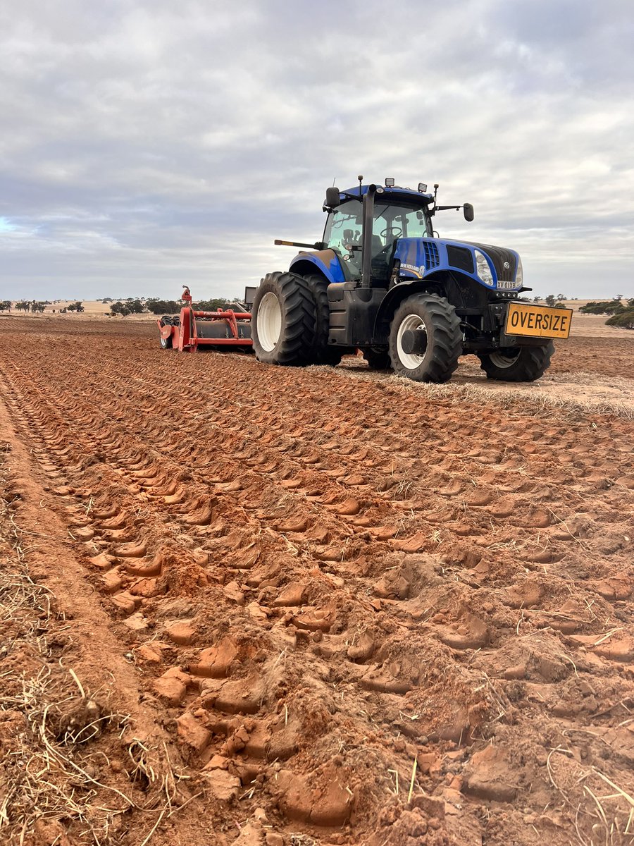 dingo71113's tweet image. Spading a bit more red ground where it hasn’t been growing a lot in last few years. If you would like any spading done in the Wimmera or sa feel free to call me on 0411782853