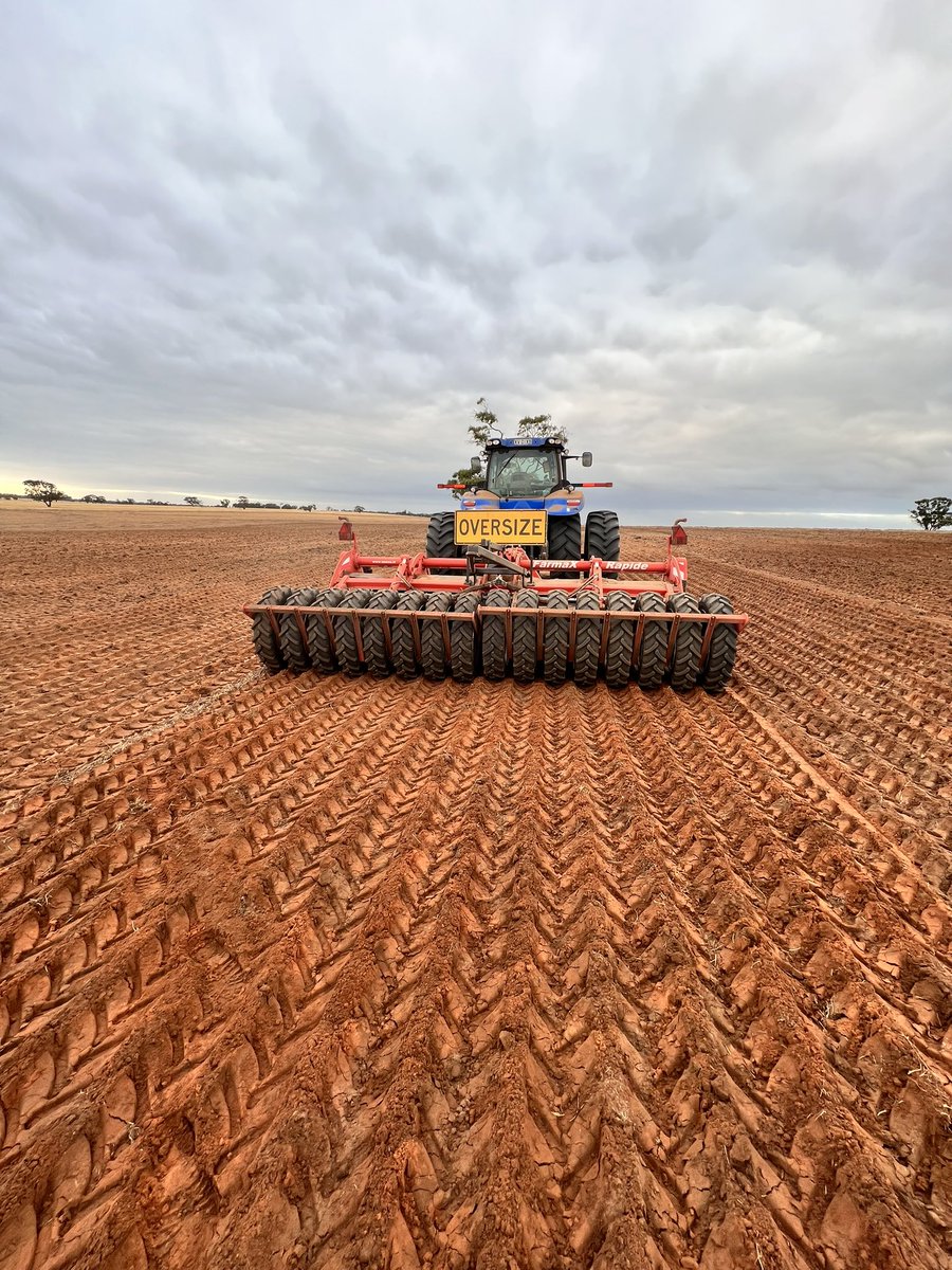 dingo71113's tweet image. Spading a bit more red ground where it hasn’t been growing a lot in last few years. If you would like any spading done in the Wimmera or sa feel free to call me on 0411782853