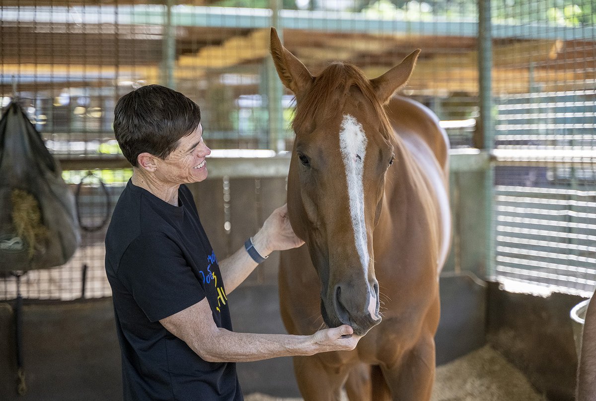 🧵 Why are racehorses kept in stables? 

One of the many arguments we hear day in &amp; day out revolves around the housing of racehorses - &amp; we've got the answers below 🐴 (1/8)