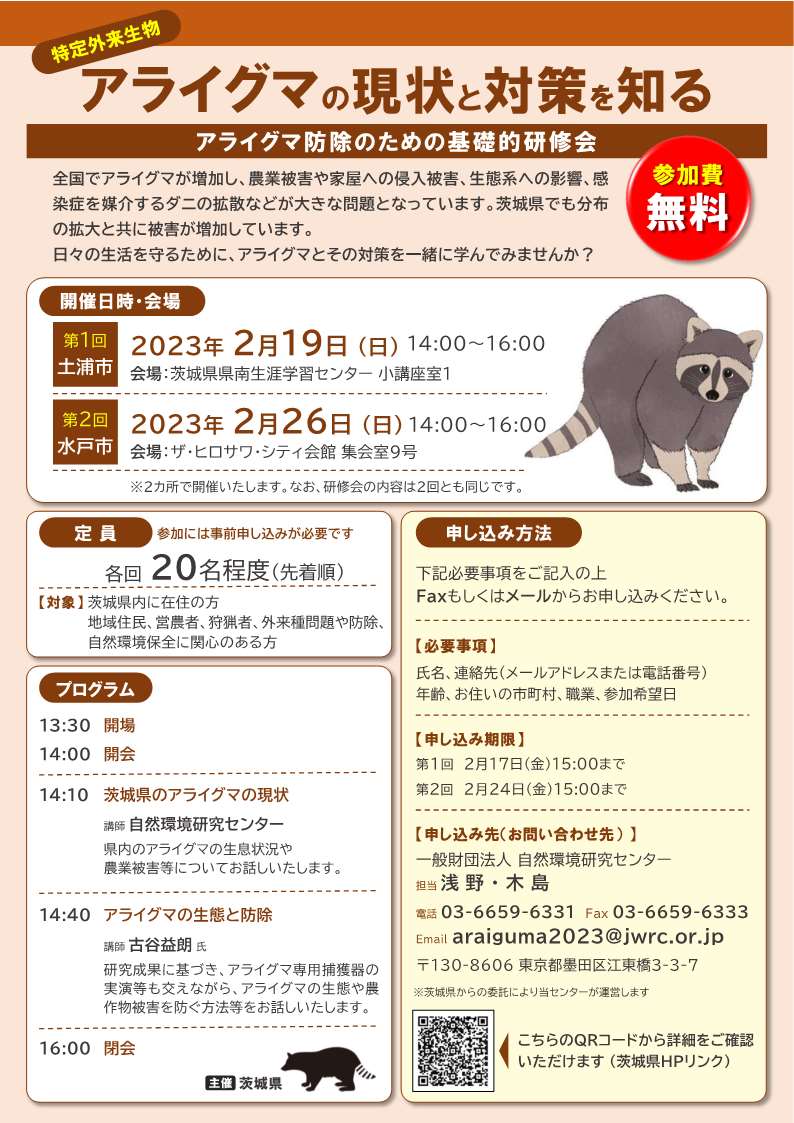 おまとめ済アライグマの帯留1500円 【公式通販】