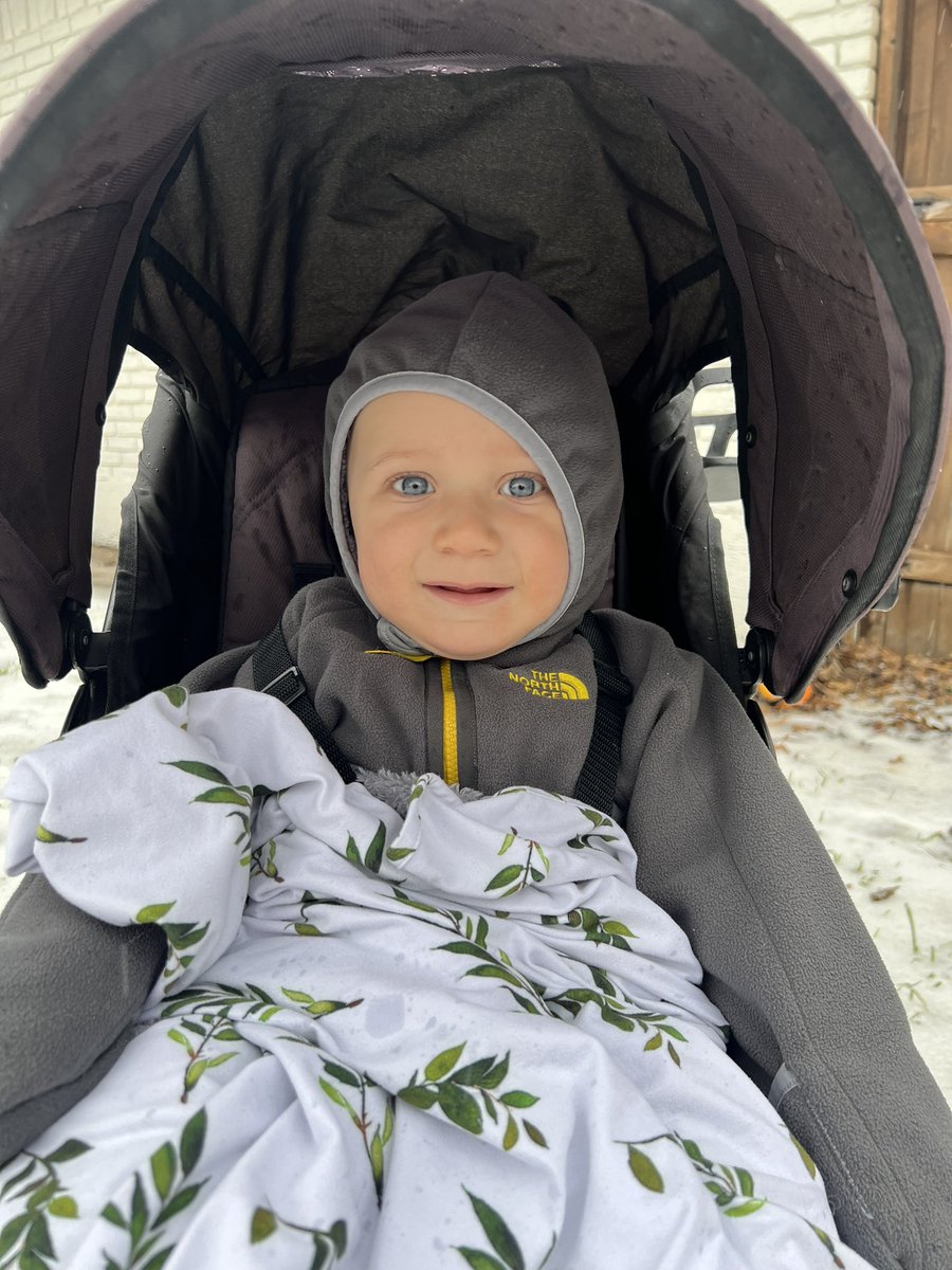 Iris Summer tweet media