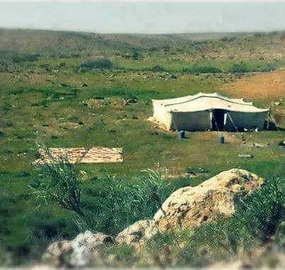 عادات وتقاليد البدو
  تعبر دائما عن حالة في منتهي السمو من العراقة والاحاسيس  والمشاعر الرقيقة فيما يظل النجع هو المعبر عن البداوة وقسوة الصحراء
 لذلك الصحراء لا تنبت ازهار بل تنبت القيم والأخلاق والأصالة وعراقة الشعوب