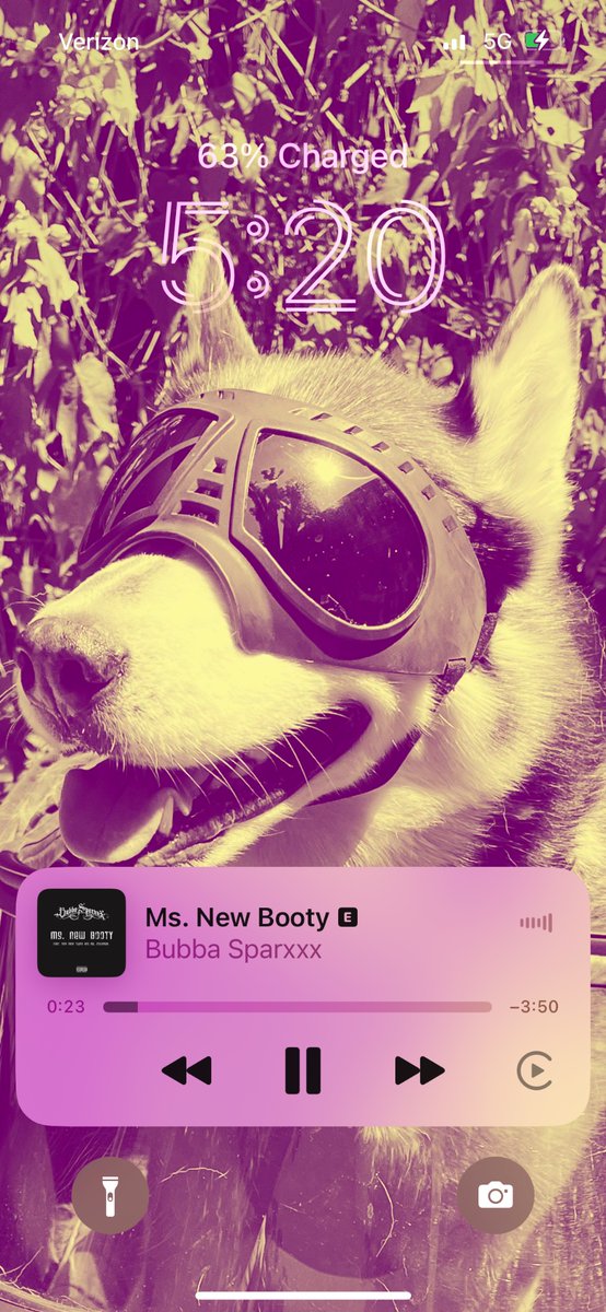 topaazz's tweet photo. Driving around Elk Grove with Zy’s head out the window, listening to this and ‘milkshake’ will not ever get old ☺️ https://t.co/hMdzUXdY75