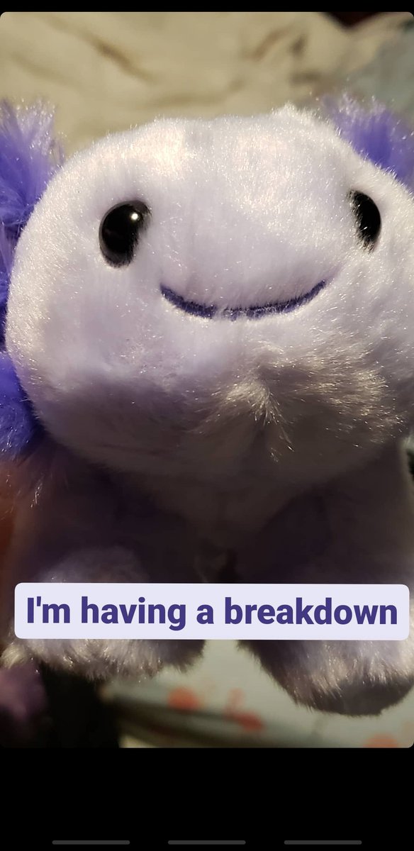 GalacticJay_'s tweet photo. I've gone insane https://t.co/wRHJ9qxv0P