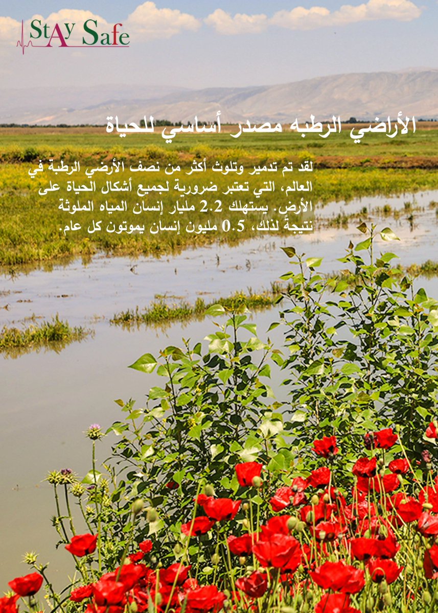 StaySafeorg's tweet photo. #Wetlands are highly productive&amp; biologically diverse systems that #enhancewaterquality, provide a home to at least one third of all #endangeredspecies.Growing populations are pushing urban expansion into wetlands. 
#WorldWetlandsDay #protectenvironment #savetheplanet #staysafe https://t.co/8nb9X14Cg7
