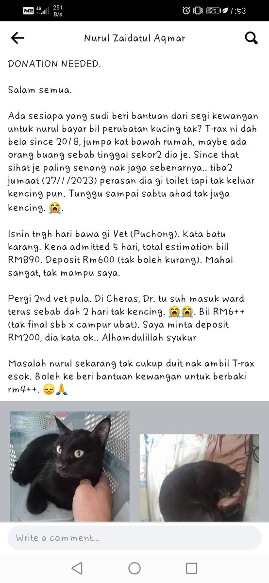 nurul2109's tweet photo. Salam.. Saya mohon bantuan kewangan sedikit. Untuk ambil kucing saya dari Vet.
😢. Sudah 4 hari warded vet kerana batu karang. Jumlah bil tak tahu.. Sbb belum final. Tapi dapat dalam rm500 pun ok dah. Baki saya cari sendiri.

@mighvv @CeddyOrNot @DonGiancarloz @SpongeBobCatz https://t.co/1yEpxU437y