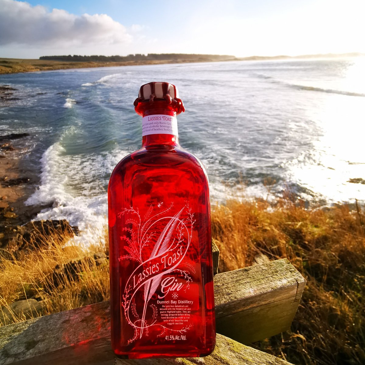 For those planning a #NC500 trip this year, add a distillery tour to your itinerary to sample some of the Highland's finest gins. If you can't wait to try some until you visit them, why not order a bottle of Lassie's Toast from <a href="/RockRoseGin/">Rock Rose Gin</a> in the meantime?