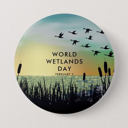 On World Wetlands Day, let us spread awareness about the significance of wetlands as habitats for numerous species & take action to conserve and restore these precious ecosystems which are rapidly disappearing

#WorldWetlandsDay #ForWetlands #GenerationRestoration #WeNeedWetlands