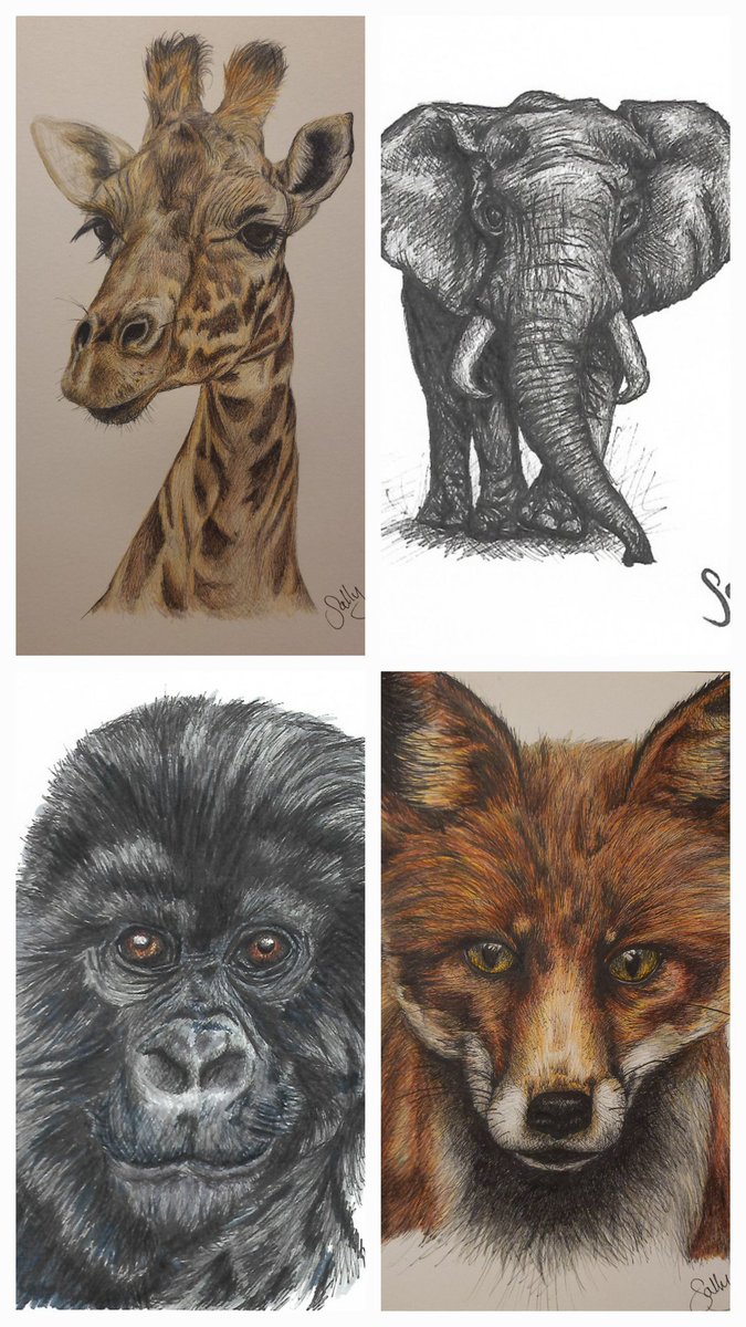 SallyElson4's tweet photo. I'm combining my love of drawing with making money for a charity close to my heart; Tiny Steps. A Cheshire based charity for families with kids with additional needs. Please check out the prints I have for sale ❤️ https://t.co/ZZmCQeMl2Z #giraffe #elephant #gorilla #fox #share https://t.co/hPxoSxIECA