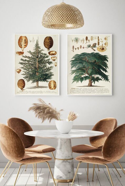 Forest Print, Tree Species Wall Art Print, Cedar Print etsy.me/3Rpy2wU #unframed #bedroom #flowers #vertical #forestprint #treespecies #wallartprint #speciestree #pinecone