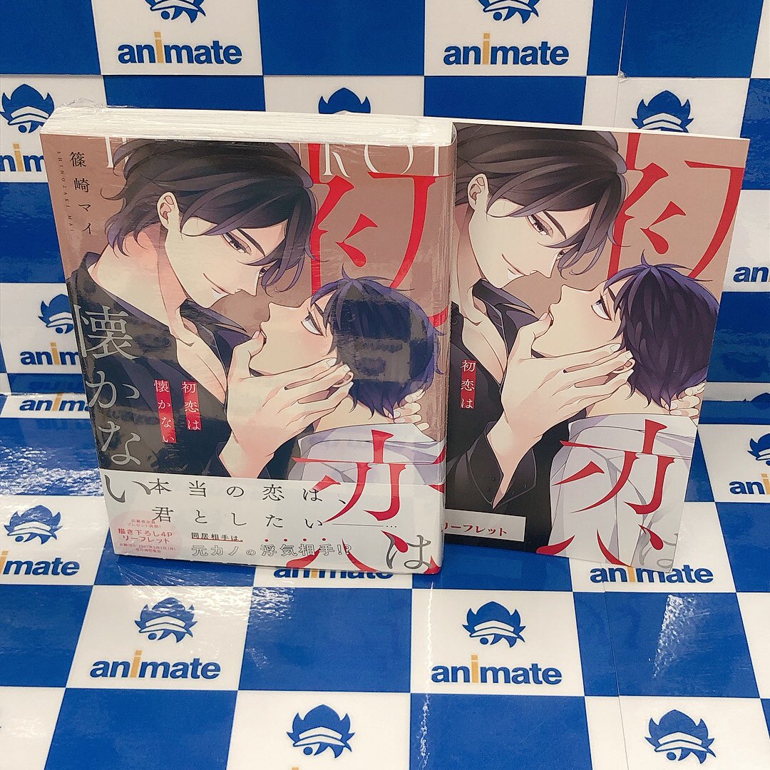 アニメイト コミコミ ホーリン特典付 初恋は懐かない