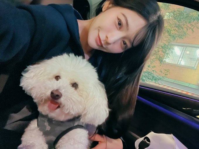 あっかんべーが上手な😜もふもふマロさん🐩 https://t.co/vYMSwvSW46