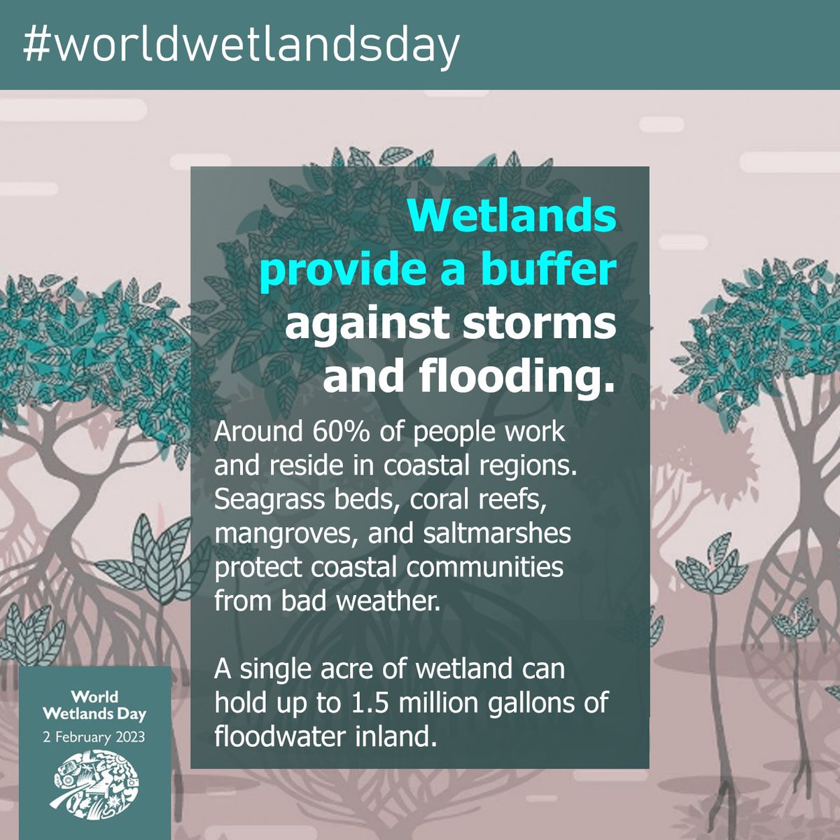 #WorldWetlandsDay series • 1.3

IT’S TIME FOR WETLAND RESTORATION | Let’s learn the importance of wetlands. 

More updates on Wetlands are coming your way. Stay tuned with us!   
  #generationrestoration #forwetlands #Itstimetorestorewetlands  #HCLFforwetlands