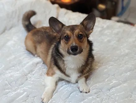 Keith Olbermann tweet media