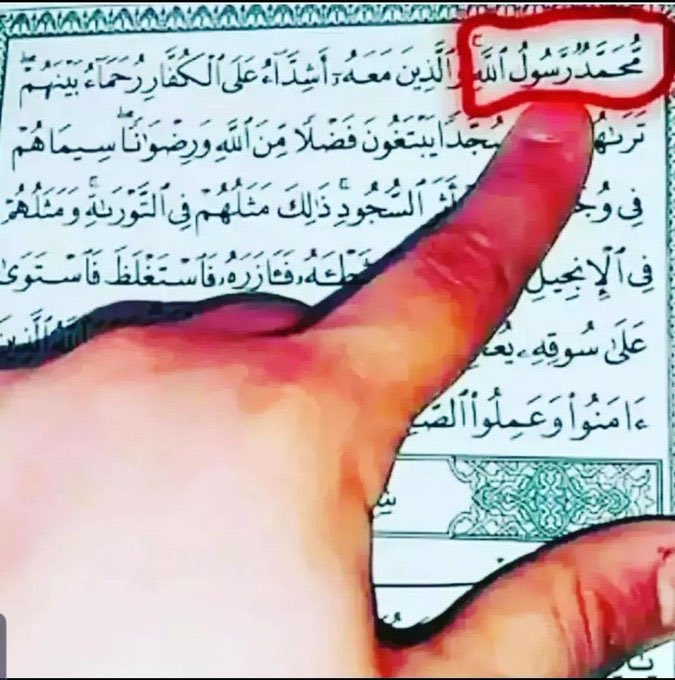 aqub_ja's tweet photo. S a w https://t.co/E4AKrEBZZq