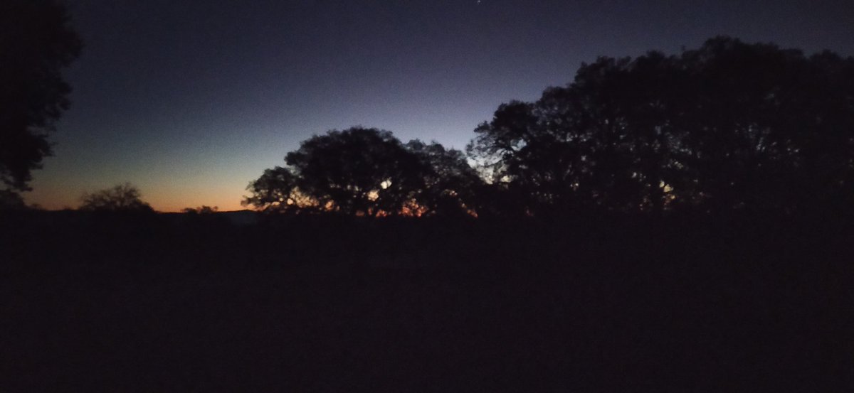 Se van acabando los juernes....