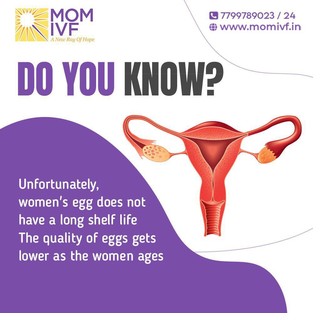 MomIvf's tweet image. 𝐃𝐨 𝐘𝐨𝐮 𝐊𝐧𝐨𝐰 ?

𝐔𝐧𝐟𝐨𝐫𝐭𝐮𝐧𝐚𝐭𝐞𝐥𝐲,𝐰𝐨𝐦𝐞𝐧'𝐬 𝐞𝐠𝐠 𝐝𝐨𝐞𝐬 𝐧𝐨𝐭 𝐡𝐚𝐯𝐞 𝐚 𝐥𝐨𝐧𝐠 𝐬𝐡𝐞𝐥𝐟 𝐥𝐢𝐟𝐞. 𝐓𝐡𝐞 𝐪𝐮𝐚𝐥𝐢𝐭𝐲 𝐨𝐟 𝐞𝐠𝐠𝐬 𝐠𝐞𝐭𝐬 𝐥𝐨𝐰𝐞𝐫 𝐚𝐬 𝐭𝐡𝐞 𝐰𝐨𝐦𝐞𝐧 𝐚𝐠𝐞𝐬.

#IVF #Fertilitytreatment #momivf #Fertilitycentre #women