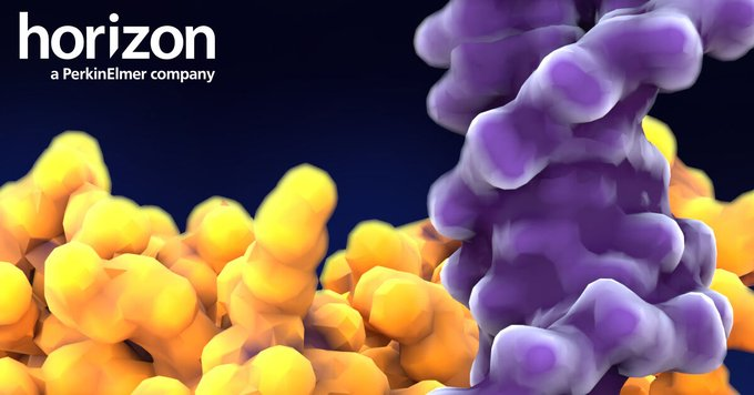 mscienceaustnz's tweet photo. Streamline your research with #Dharmacon reagents by only screening the #genes that interest you. Simply upload your gene list into our cherry-pick plater tool and select from products including #sgRNA, #siRNA, #shRNA, and more. @HZDiscovery
https://t.co/zEyT2I86dV https://t.co/2EN9TRnc4M